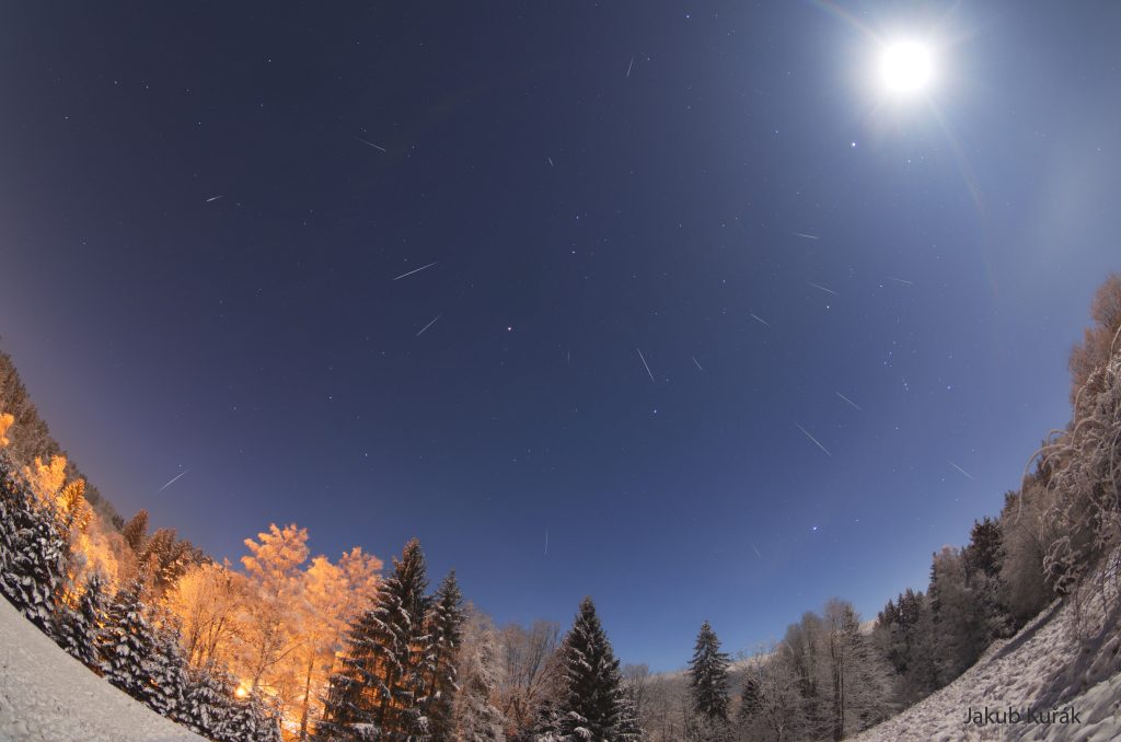 Lluvia de meteoros Gemínidas sobre un bosque nevado