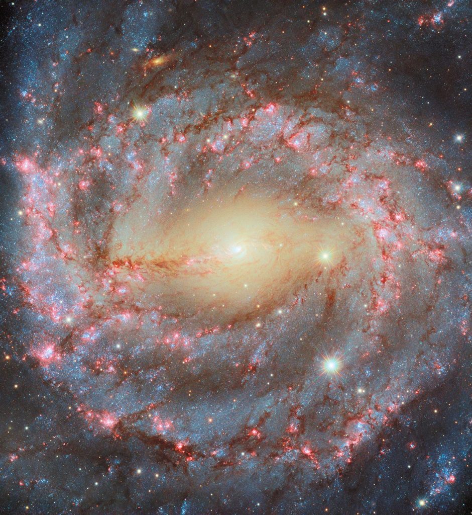 La Fascinante Espiral Galáctica NGC 5643